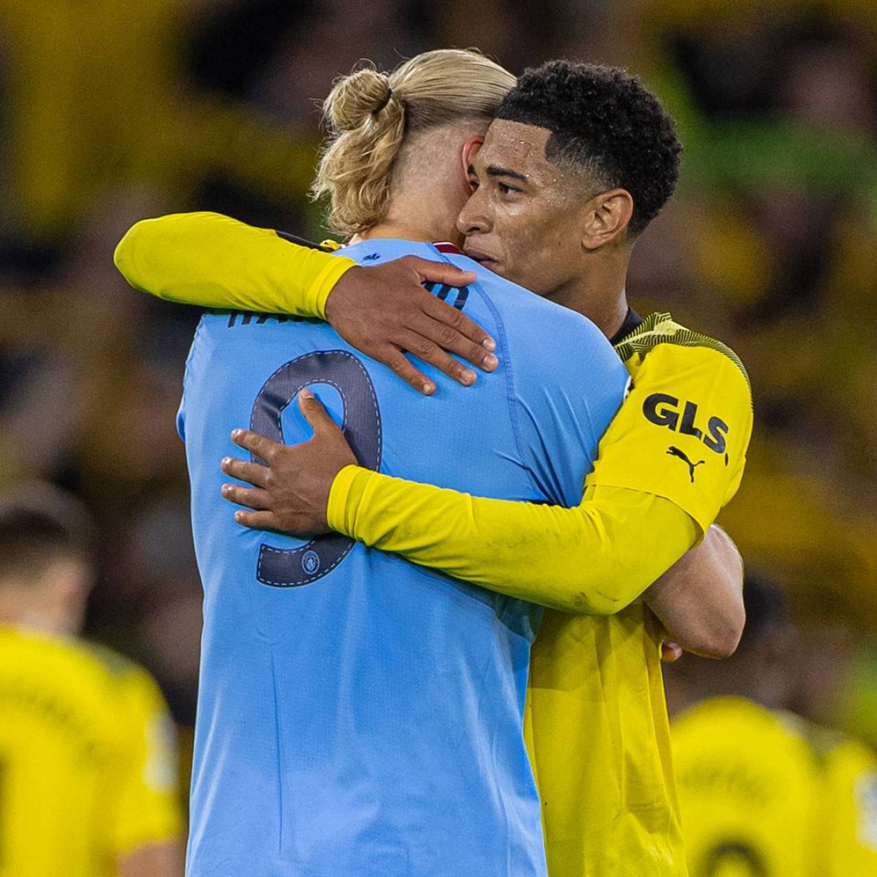 邦宁与克里 邦宁与克里